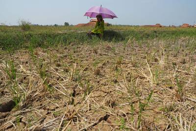 A dry rice field in Subang, West Java as Indonesia prepares for its most severe dry season since 2019, partly due to the return of the El Nino weather pattern. Bloomberg