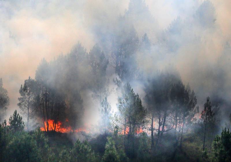 A wildfire burns through vegetation in Landiras in south-western France. AFP