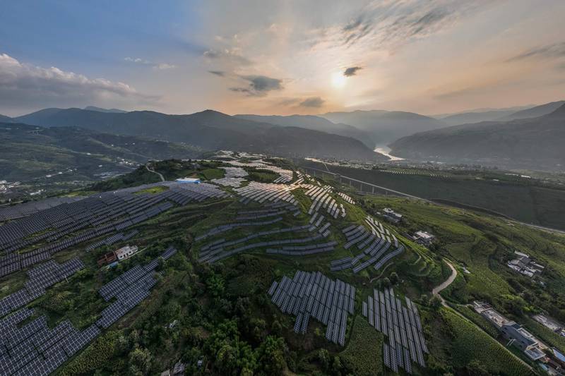 Solar panels among a Sichuan pepper field in Bijie, in China's southwestern Guizhou province. AFP