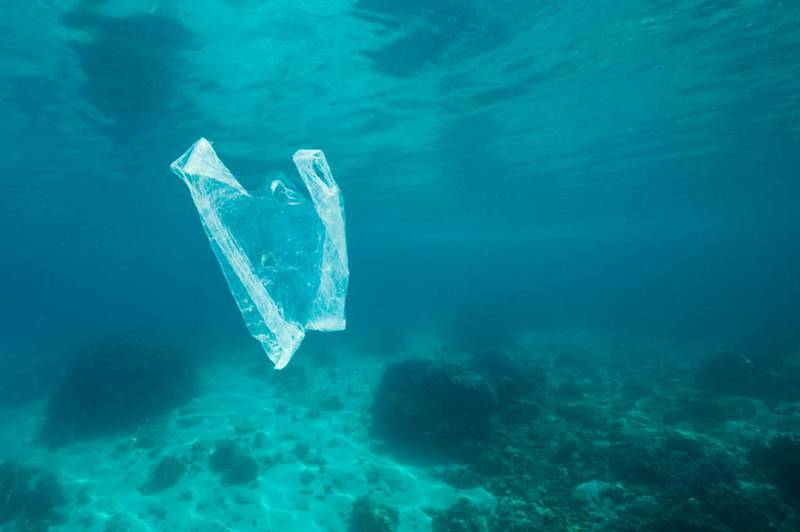 World Oceans Day helps to raise awareness of issues blighting the environment, such as plastic pollution. Photo: National Geographic Abu Dhabi