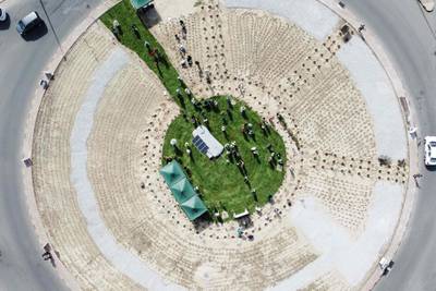 People plant trees at a roundabout south of Kuwait City, as part of an afforestation campaign. All photos: AFP