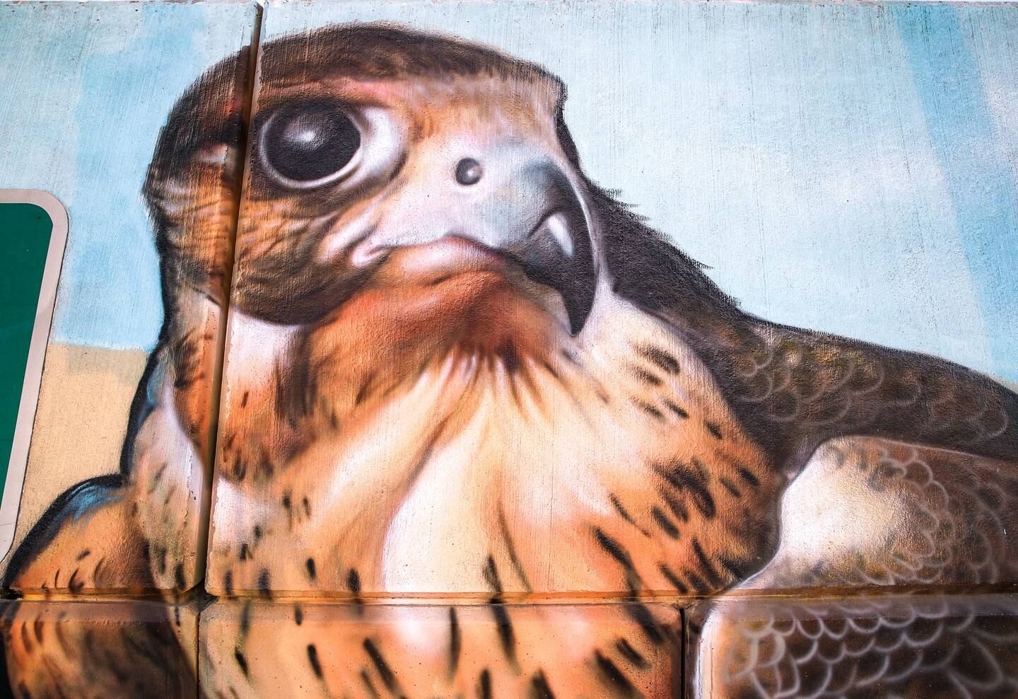 A painting of a falcon at Mars Mina. Victor Besa / The National