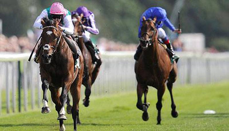 Frankel finished first at York today despite not having run farther than a mile before. John Giles / AP Photo