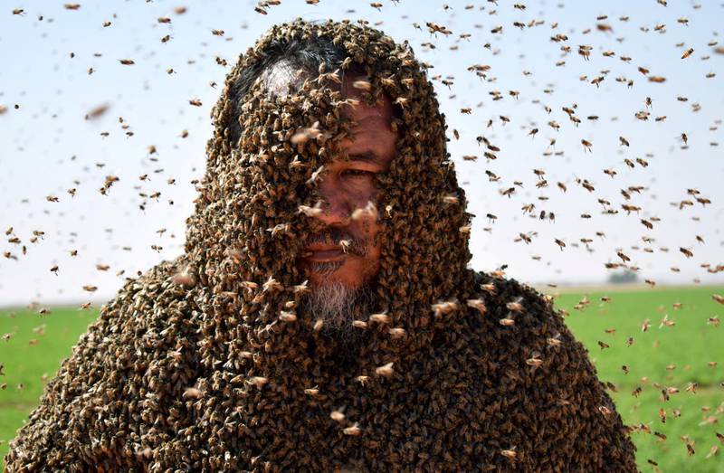 A Saudi man with his body covered with bees poses for a picture in Tabuk, Saudi Arabia September 11, 2018. REUTERS/Mohamed Al Hwaity      TPX IMAGES OF THE DAY