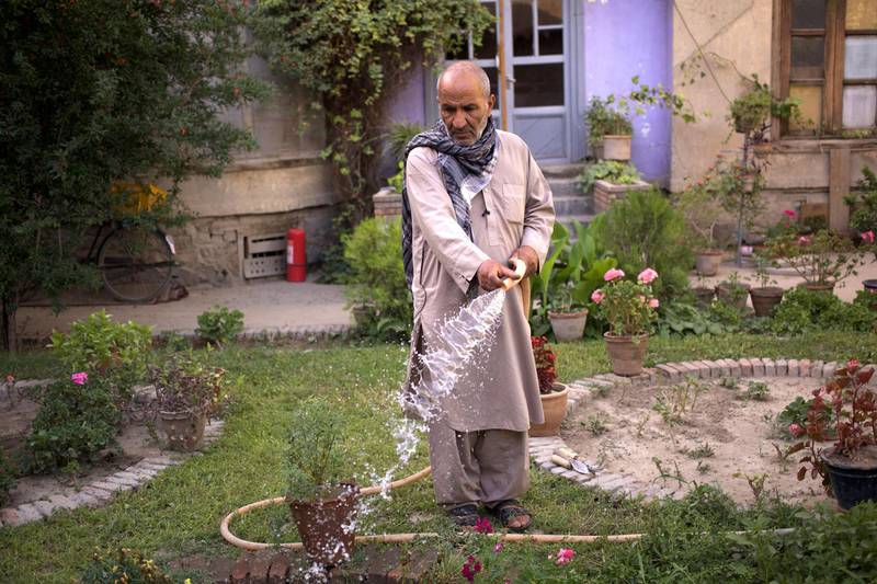 Khaka Khalil, Kabul, Afghanistan 2017:

The house was originally built for King Ammanullah Khan’s secretary in the nineteen twenties. My father was the tailor to the royal family and moved his family there when I was still a boy. 


There used to be another building on that side, but we demolished it to make the garden bigger. At that time we had apples, cherries, pears and pomegranates, but we never picked them. My father used to tell us to leave the fruits there to make the house more beautiful.

During the civil war, Murad Khani was one of the 
front lines and we moved away for safety. Only my brother stayed to protect our belongings from looters. But we missed this place - it was our home. Everything died. It was heart breaking. People were sad and there were no jobs, no money. The Taliban were only interested in lashing people. But when they left we could start gardening again.

We started with the grass and, little by little, we sourced flowers 
and plants from wherever we could.


The situation is not good in Kabul now, : security, unemployment, you know. And the city is so noisy and polluted these days, but at least flowers freshen your mind and bring you peace. It is a joy!
