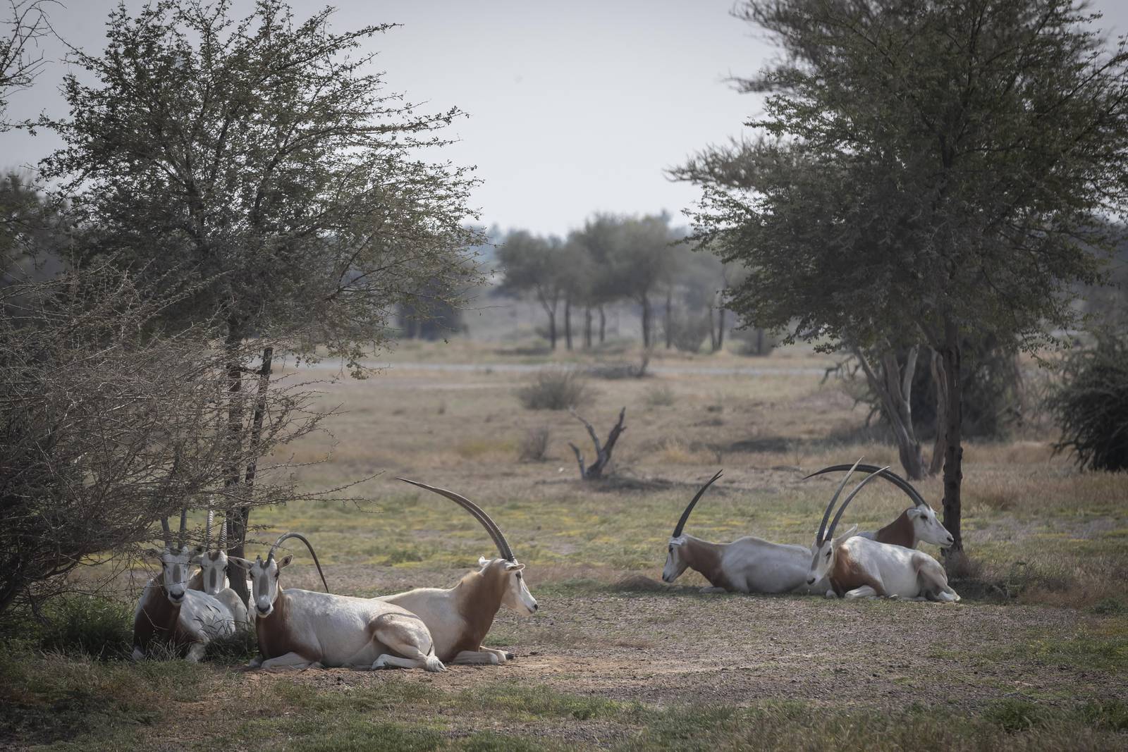 safari park opening hours