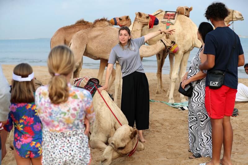 Groups of up to 15 people can swim with the camels with Arabian Desert Camel Riding Centre. Chris Whiteoak / The National