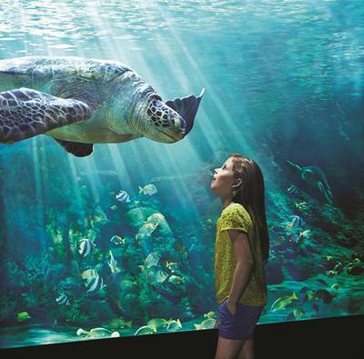 The first SeaWorld marine life park outside the US is to be built on Yas Island. Courtesy Miral

