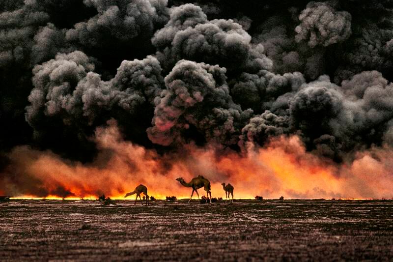 'Camels and Oilfields. Al Ahmadi, Kuwait, 1991'.
