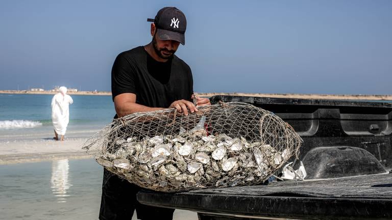An image that illustrates this article Rebuilding the UAE’s coral reefs - in pictures