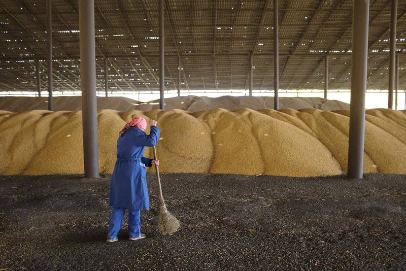 An employee works at a warehouse during corn harvesting. High corn prices on the global market are keeping up the interest of Russia’s agricultural producers in the export of their products. Eduard Korniyenko / Reuters