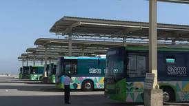 Electric buses are ready for Egypt's Cop27 visitors