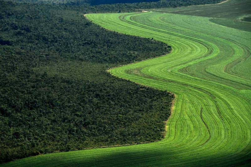 (FILES) This file picture taken on May 29, 2019 shows an aerial view of an agriculture field next to a native Cerrado (savanna) in Formosa do Rio Preto, western Bahia State, Brazil. Faced with growing pressure in 2020 for Brazil to put a stop to deforestation in the Amazon, the agri-food giants are increasing the checks on the origin of their products and say they are calling on the Bolsonaro government to enforce environmental legislation. The recent case of Brazilian meat giant JBS, the world's number 1 meat producer, accused in July 2020 by a consortium of investigative media of having illicitly sourcing cattle from ranches blacklisted for destroying the Amazon, has reinforced this pressure. / AFP / NELSON ALMEIDA
