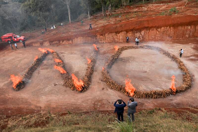 Kenyan security officials burn illegally harvested sandalwood in Nairobi. EPA