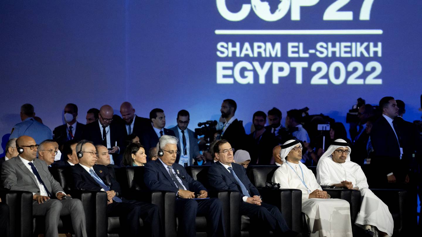Hosting Cop: co-operation is key to Middle East leadership on climate change - The National