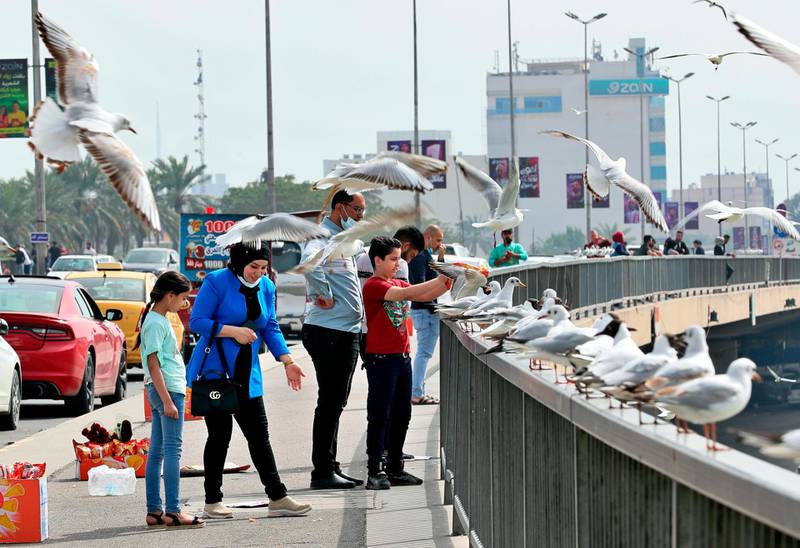 Gulls swoop as people feed the birds on a bridge over the Tigris river, in Baghdad. AP Photo