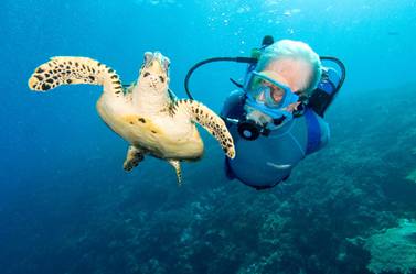 Jean-Michel Cousteau swims with a Hawksbill turtle in Papua New Guinea. Photo: Carrie Vonderhaar