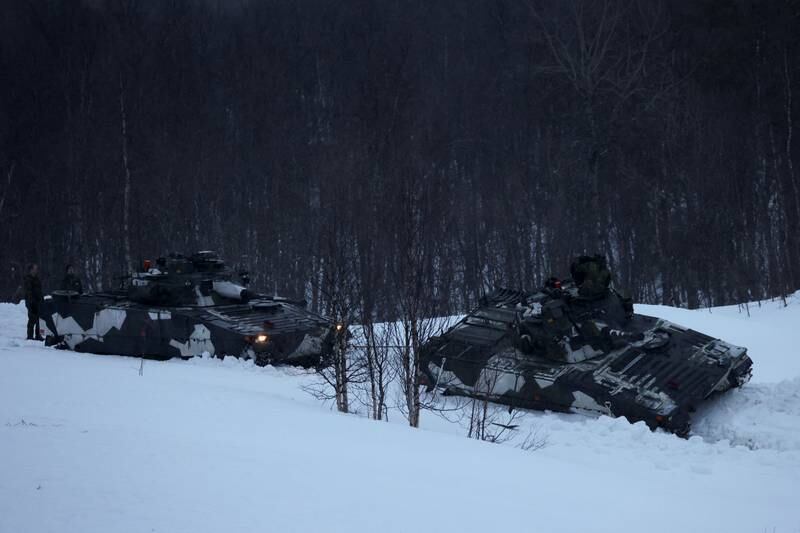 Finnish and Swedish troops took part in Nato drills in the Arctic Circle last spring. Reuters