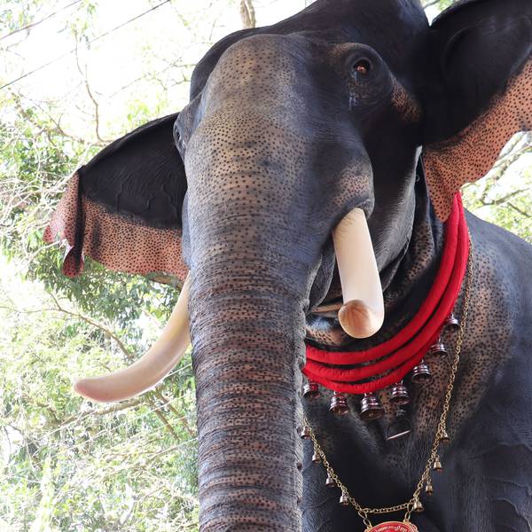 Mechanised elephant replaces captive animals in Indian temple
