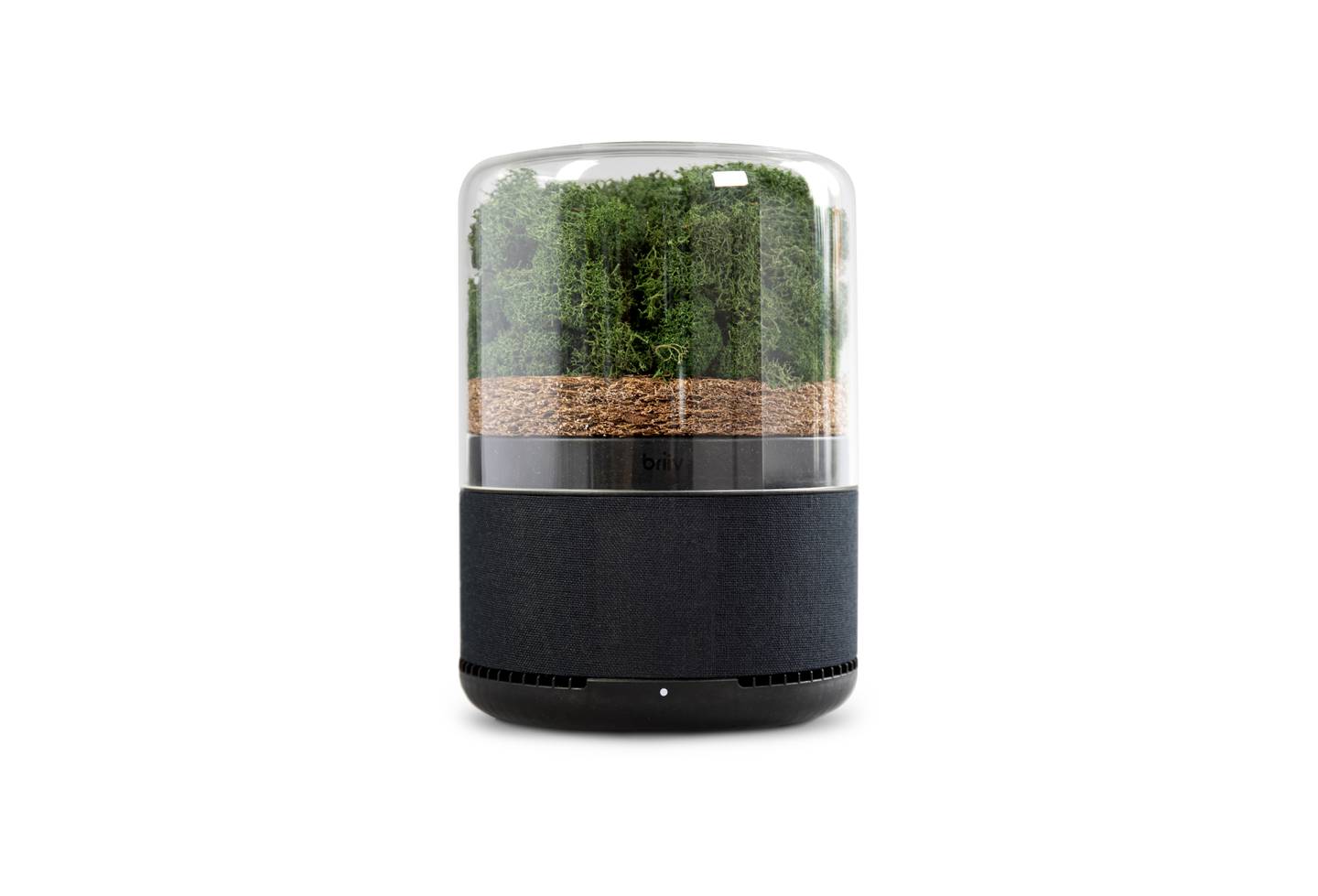 Briiv consists of three fully biodegradable filters that utilise the natural micro-structures of moss, coconut, carbon and silk to filter air. Photo: Briiv