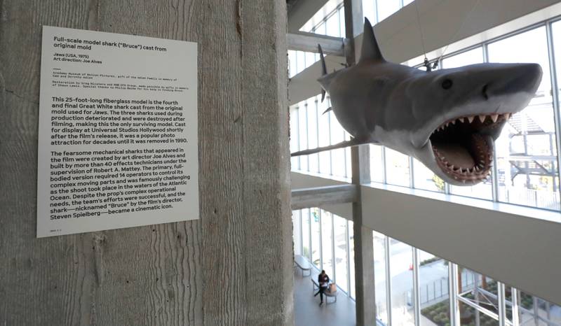 The only surviving full-size scale model cast from the original mould used on 'Jaws' at the Academy Museum of Motion Pictures in Los Angeles, California. Reuters