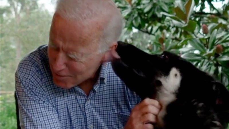 Major, the pet of President-elect Joe Biden, is believed to be the first rescue dog in the White House. Courtesy Joe Biden