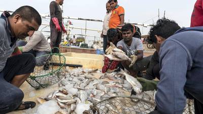 Ruler's Dh5m aid payment comes as relief to UAE's struggling fishermen