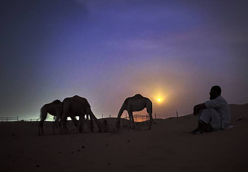 Pakistani camel keeper, Asdollah, sits on the sands under the supermoon at Al Marmoom desert, Dubai. AP