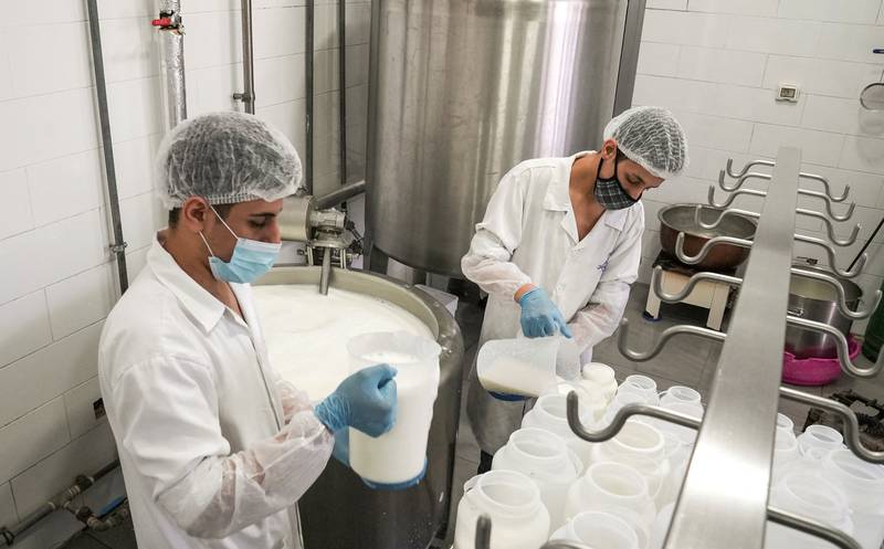 A worker pours milk while preparing dairy products at Emm el Khayrat.