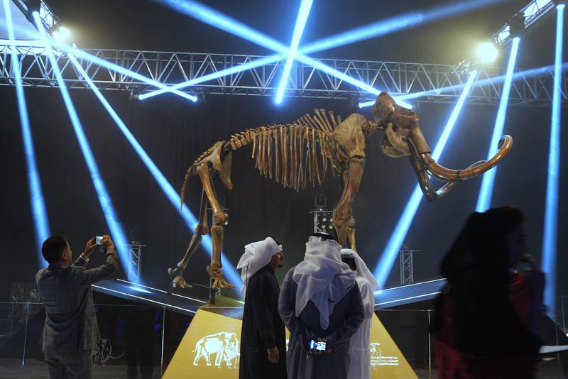 ABU DHABI, UNITED ARAB EMIRATES - - -  December 8, 2015 ---  A 15,000 year-old woolly mammoth was unveiled at Marina Mall on Tuesday, December 8, 2015, in Abu Dhabi. ( DELORES JOHNSON / The National )  
ID:-58722
Reporter: Melanie Swann
Section: AL *** Local Caption ***  DJ-081215-NA-Wooly Mammoth-58722-009.jpg