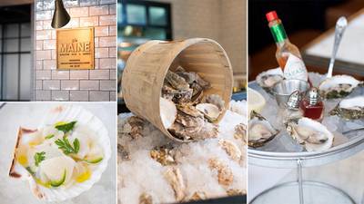 A second The Maine Oyster Bar & Grill is opening in Dubai later this year. The National / Razan Alzayani 