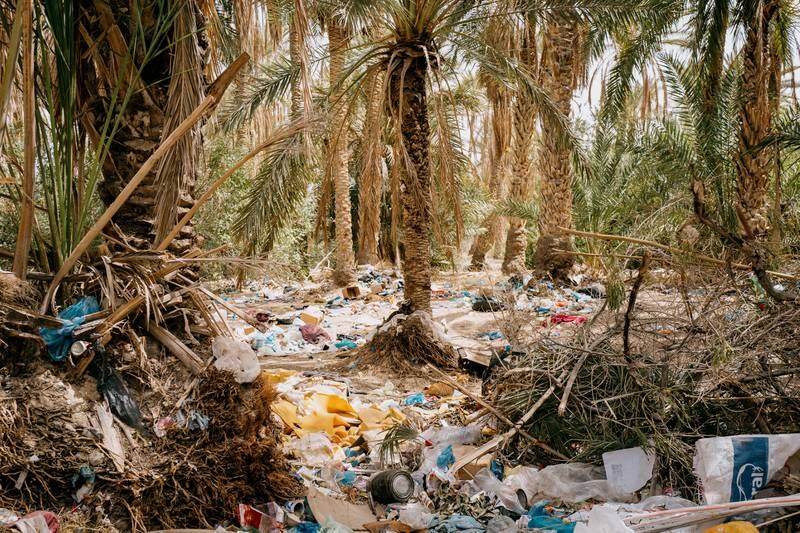 Date oases in the southern city of Tozeur used to have three layers of agriculture: vegetable crops close to the soil, citrus trees in the understory, and date palms towering over the rest. With the advent of monoculture for Diglet Nour dates, the palm groves are now choked with rubbish.