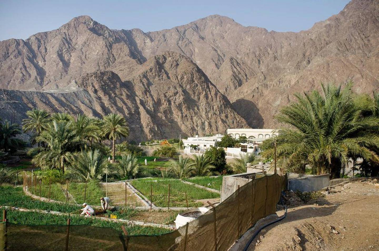 Nahwa is a UAE village within Oman and a real hidden gem. Antonie Robertson / The National
