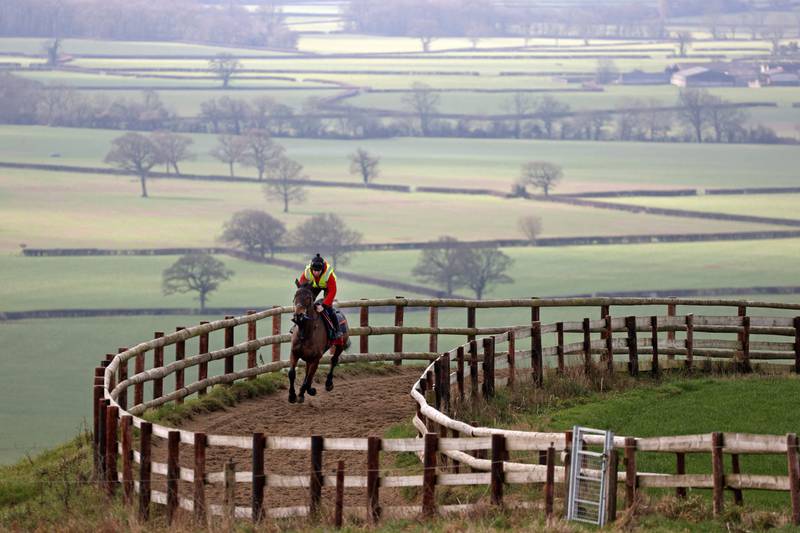 A gallop through the English countryside near Shepton Mallet. AFP