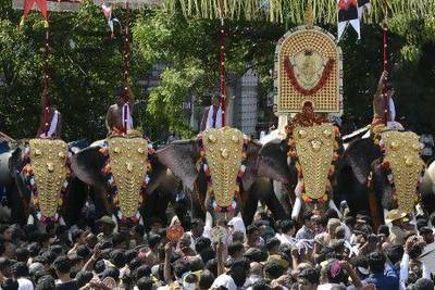 Elephants amble towards crowds of festival-goers at Thrissur Pooram, one of Kerala's most famous festivals.