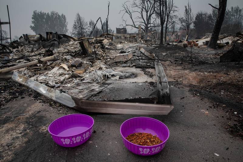 Cat food and water are put out by residents trying to find pets that went missing during wildfires in Talent, Oregon. AP Photo