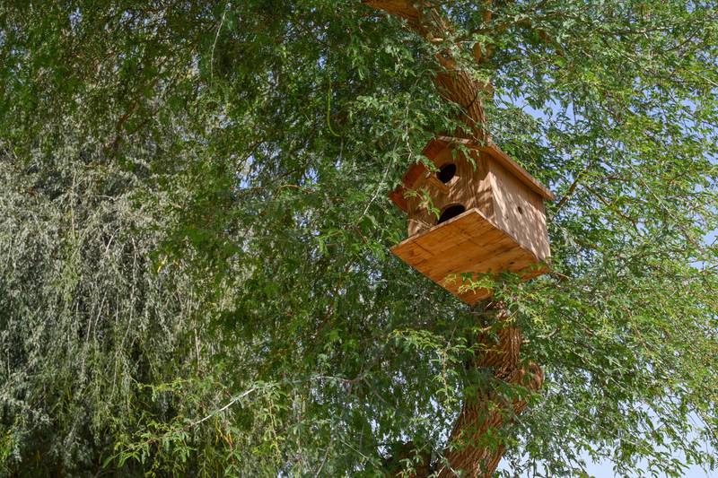 Bird boxes are being installed in parts of Abu Dhabi. Photo: Abu Dhabi Media Office