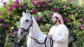 Meet Khalid Khalifa Al Naboodah, the UAE Champion horse breeder allergic to the animals he loves