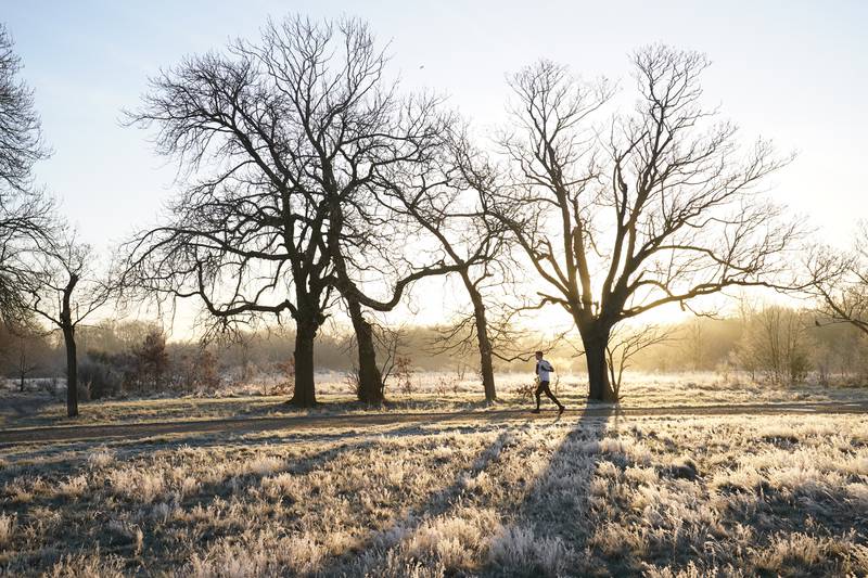 A frosty morning run in Wansted Park in London. PA