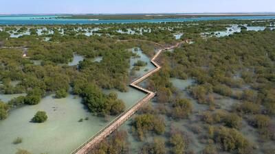 An aerial view of the Qurum Walkway in Jubail Mangrove Park. The UAE is doing everything it can to tackle climate change, from limiting greenhouse gas emissions to planting more mangroves. Wam