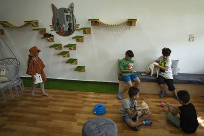 The cafe offers a unique space for relaxation and positive human-animal interaction. AP