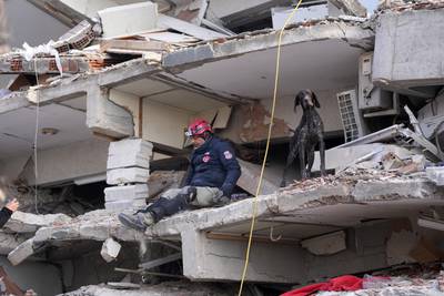 A rescuer with a sniffer dog searches in a destroyed building in Antakya, southern Turkey. AFP