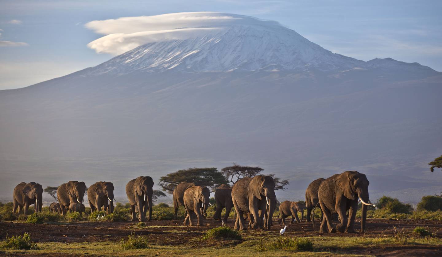 Fly to Nairobi with Air Arabia Holidays to spot elephants and more at Amboseli National Park in southern Kenya. AP