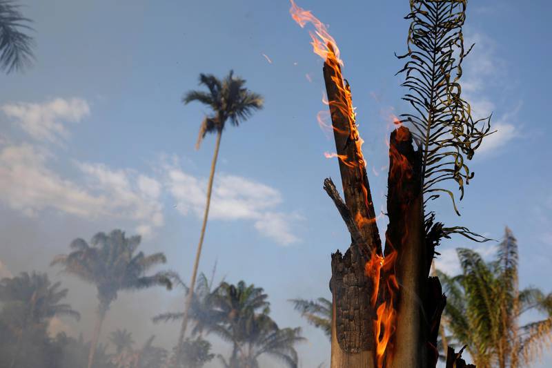 An tract of Amazon jungle burning as it is being cleared by loggers and farmers in Iranduba, Amazonas state, Brazil.  Reuters