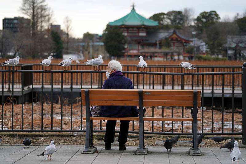 A woman sits near doves and gulls in Tokyo, Japan.  AP Photo