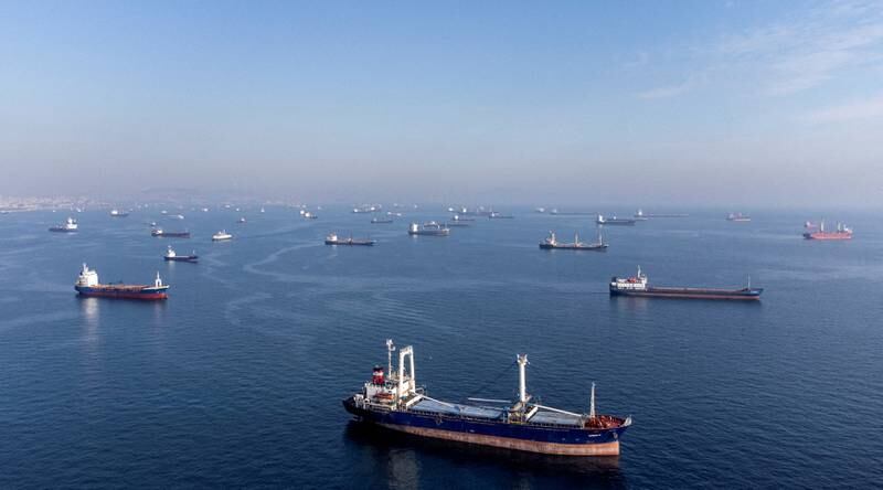 Commercial vessels, including ships carrying grain under the Black Sea deal, wait to pass Turkey's Bosphorus Strait. Reuters