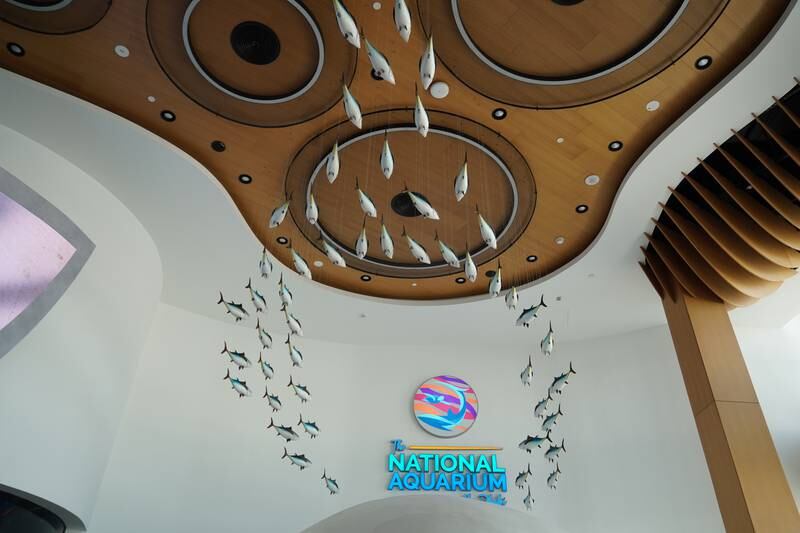 The aquarium's mission statement is "creating a momet for people to re-connect with nature". Leen Alfaisal / The National