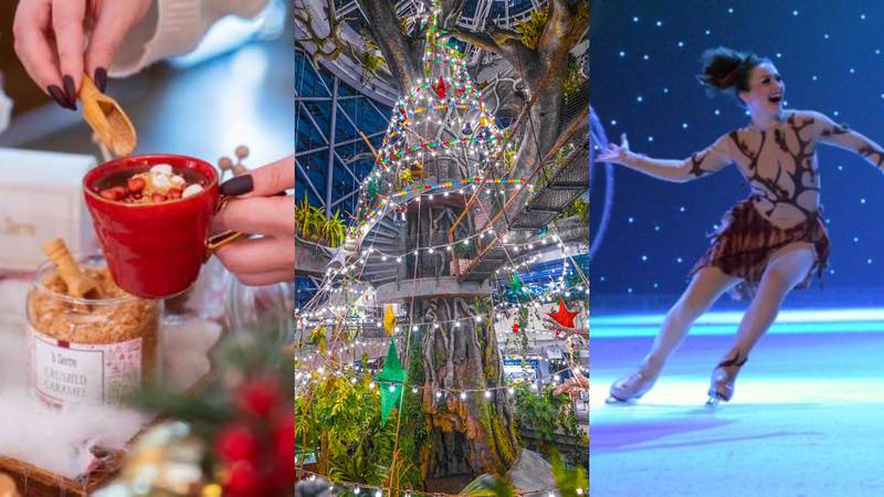 There are plenty of family-friendly things to do this Christmas in Dubai. 