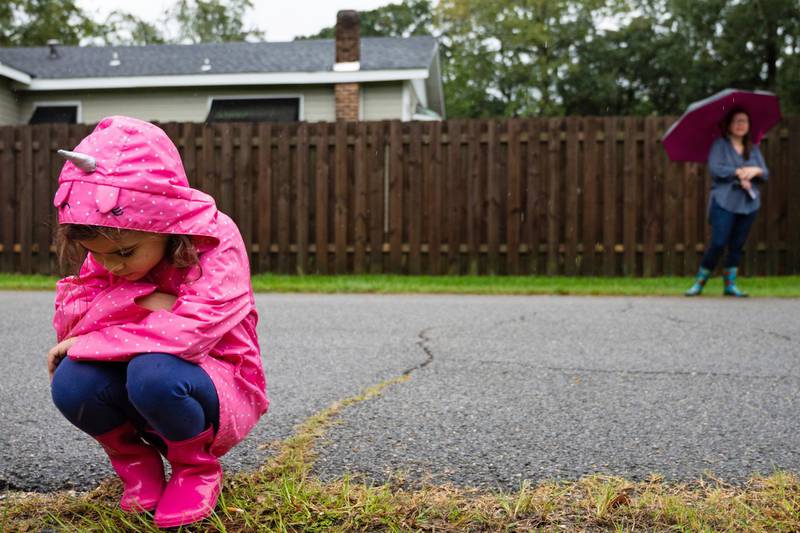 Nora Wood, 5, braves a light rain from Hurricane Sally to check on an ant mound, Mississippi.  AP