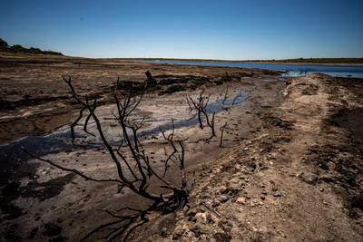Dried mud and old trees at Colliford Lake in Cornwall, England, where water levels have severely dropped exposing the unseen trees and rocks in Cornwall's largest lake and reservoir. PA